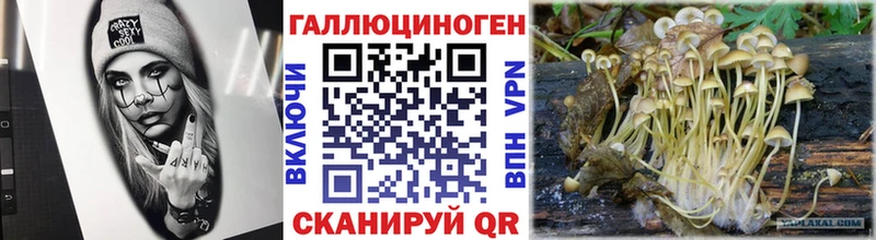 мега как зайти  Верея  Псилоцибиновые грибы GOLDEN TEACHER 